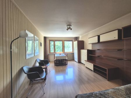 2-pokojowe mieszkanie, osobna kuchnia, centrum 44.1 m² - Zdjęcie 3