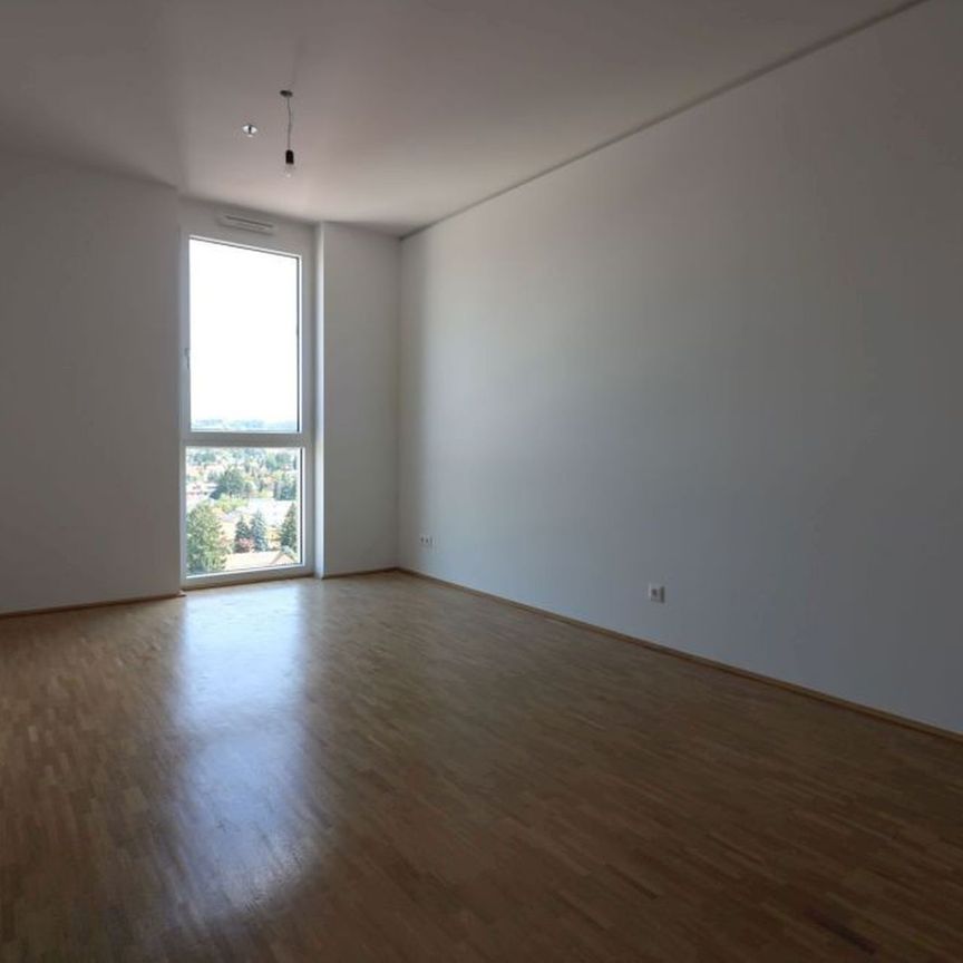 Traumhafte Penthouse-Wohnung mit Terrasse - Provisionsfrei! - Foto 1