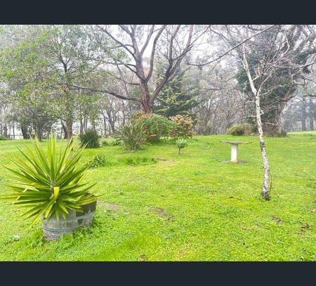 9 Montarra Road, Montarra, SA 5172 - Photo 4