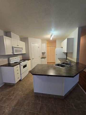 2 bedroom 1 bathroom condo PET FRIENDLY!!! - Photo 4