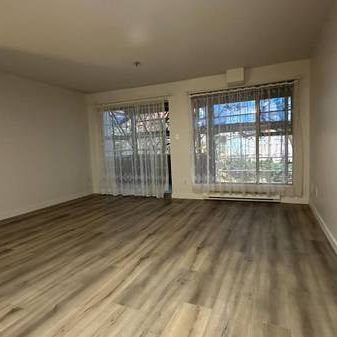 Studio bedroom unit located in West Kerrisdale - Photo 3