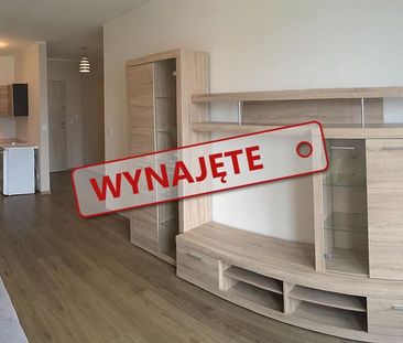 Do wynajęcia dwupokojowe mieszkanie 41m2 ul. Potulicka - Zdjęcie 1