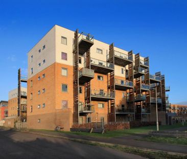 1 bedroom apartment to rent - Photo 5