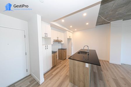 40 Cardinal Maurice-Roy – Le Lièvre - Photo 3