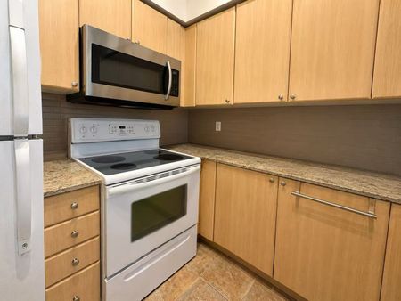 For Lease - 763 Bay Street Unit# 211, Toronto, Ontario - Photo 3