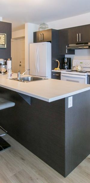 Logement 4 1/2 - Novembre 2025 - Photo 1