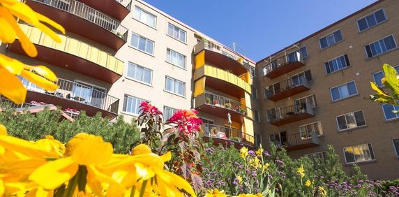 3 1/2 SILLERY PLAZA - PROMENADE CHAMPLAIN- 1er juillet - Photo 2