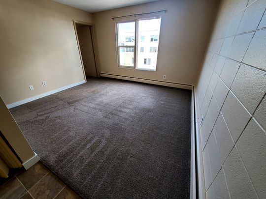 Large 1 Bedroom Unit!!! One Month Free Rent!! - Photo 1