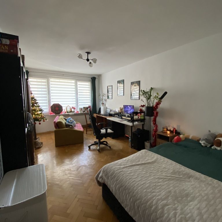 Kawalerka na wynajem w centrum miasta - Фото 1