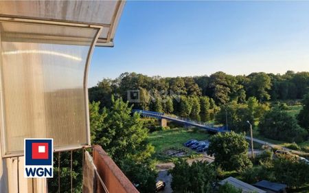 Mieszkanie na wynajem w bloku Szprotawa - Zdjęcie 5