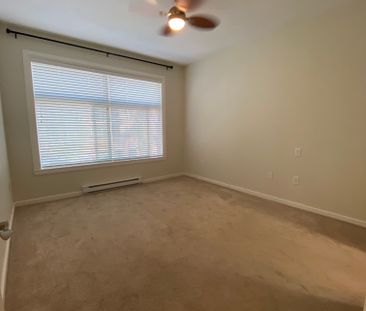 #209 45530 Market Way - Photo 3