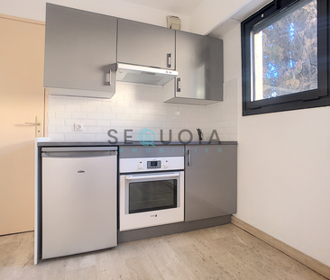 Location Appartement 1 pièce 20m² MOUGINS 06250 - Photo 1