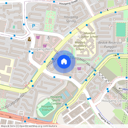 507 Hougang Avenue 8 (530507), Singapore