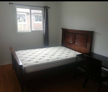 For Lease - 58 Kitchener Road Unit# Main, Toronto, Ontario - Photo 6