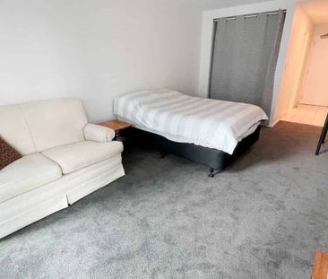 Newly renovated studio apartment by Auckland Uni - Photo 5