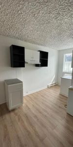sainte agathe des monts 3 1/2 electricite ,wifi ,possibiliter de stationement deneiger 1200$ - Photo 3