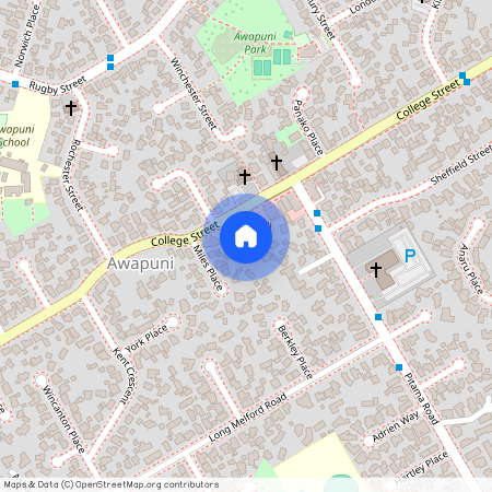 90 College Street, Awapuni, Palmerston North City