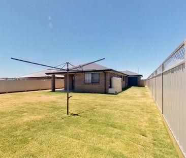 Dreaming of Champagne Drive - Photo 3