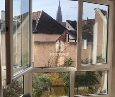 Location Appartement 1 pièce Meublé 30m² STRASBOURG 67000 - Photo 1