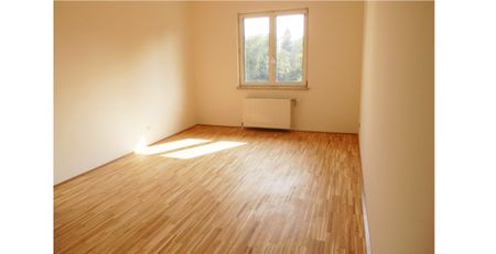 Wohnen-Sorglos Paket: Garconniere in KF-Uninähe - Photo 5