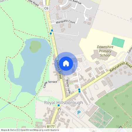 3 Meeting Street, Royal Hillsborough, BT26 6GP