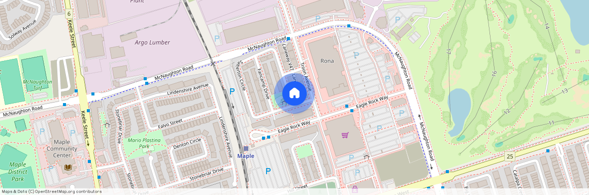 217 Salterton Circle, Vaughan