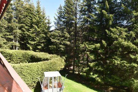 3.5 room apartment for rent - Photo 4