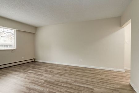 1 Bedroom - Photo 3