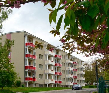 3-Raum-Wohnung mit Einbauküche im Grünen mit tollem Ausblick vom Ba... - Foto 3