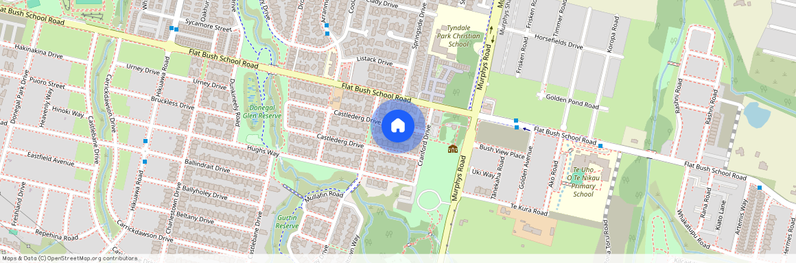 8 Castlederg Drive, Flat Bush, Manukau City