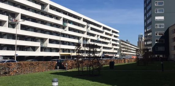 Boksdoornerf, 219 - Foto 2