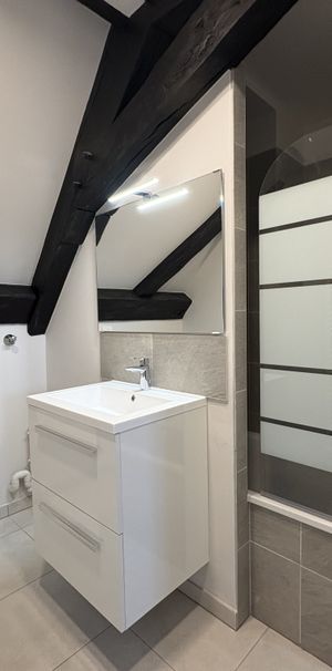 Location Appartement 2 pièces 49m² HAGENTHAL LE BAS 68220 - Photo 1