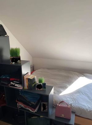 APPARTEMENT 31/2 PIÈCES À EMBRACH (ZH), MEUBLÉ, TEMPORAIRE - Foto 1