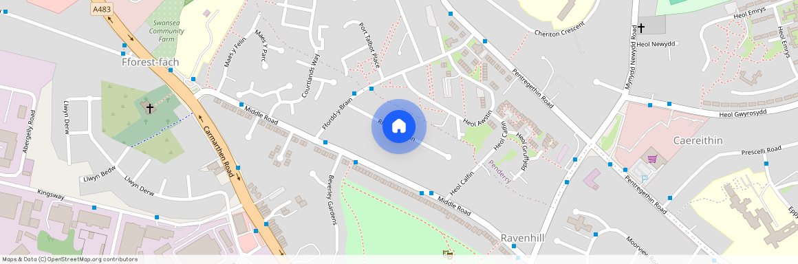 Rhodfar Brain, Ravenhill, Swansea