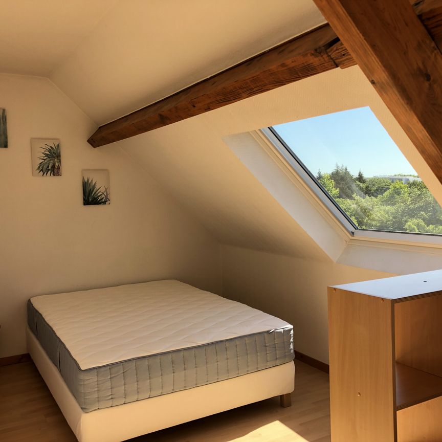 Location Appartement 1 pièce 30m² OLIVET 45160 - Photo 1