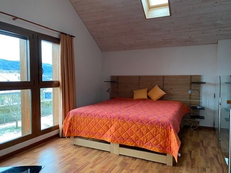 GRAND-RUE 28, Maison individuelle avec jardin et terrasse. - Photo 2