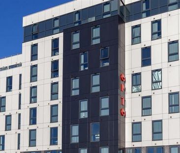 Studio to rent - Photo 4