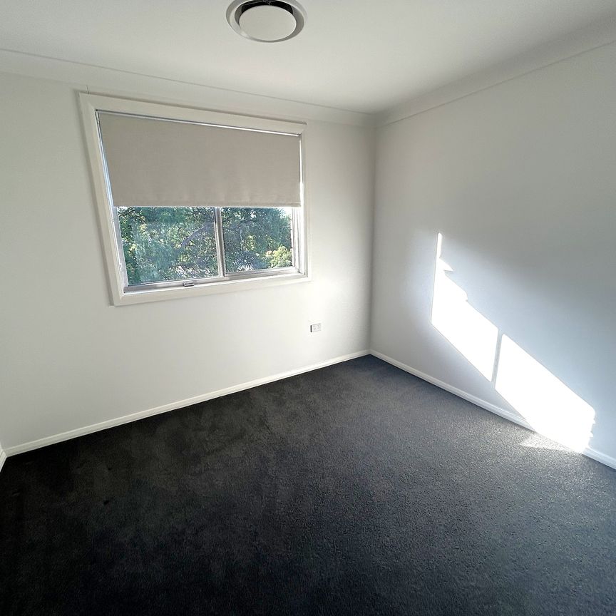 15 Terole Avenue - Photo 1