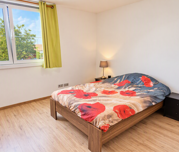 Appartement te huur in Arendonk met 2 slaapkamers - Foto 6