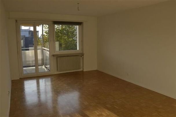 VIVRE CALME ET CENTRAL - Foto 1