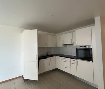 2.5 Zimmer, 56 m² - Photo 1