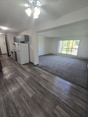 Spacious Two Bedroom unit on South Hill - Photo 1