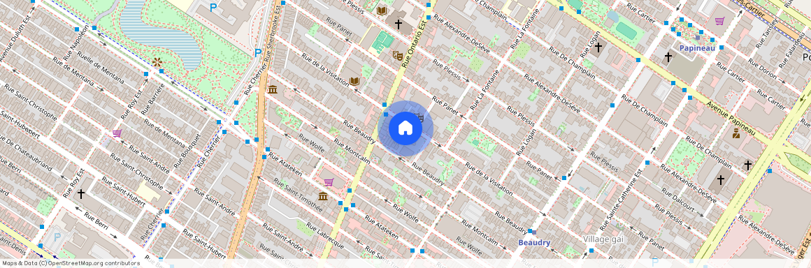 1896, Rue de la Visitation, app. 002, Montréal (Ville-Marie)