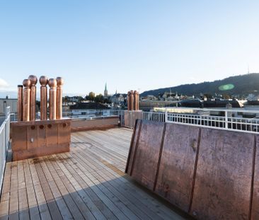 Geniales Attika-Studio mit Dachterrasse in Wiedikon! - Photo 3