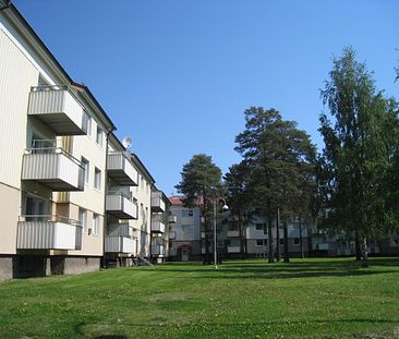 Örnäset, Luleå, Norrbotten - Foto 1