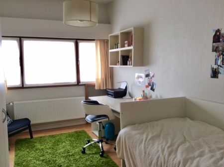 Vannestes Reke, Kortrijk, België, kamer 4 - Photo 4