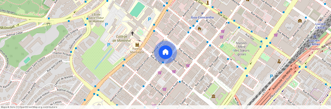 1414 Rue Chomedey, Ville-Marie, Ville-Marie, Ile de Montréal, H3H 1M9