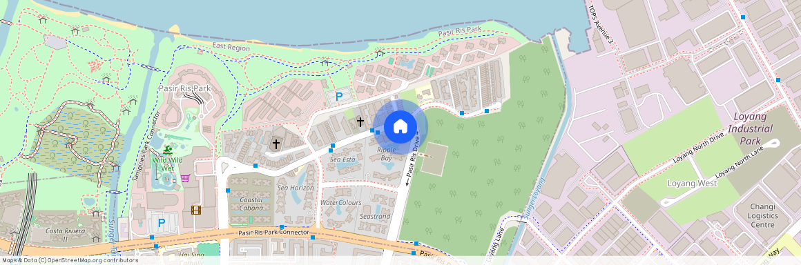 16 Pasir Ris Link (518166), Singapore