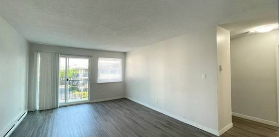 Spacious 2-Bedroom Apartment in Maple Ridge - Photo 2