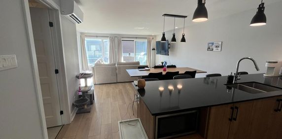 Grand 4½ +bureau, Internet, Domaine sur-le-Vert, St-Hyacinthe, 1 février - Photo 2